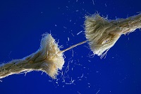 Stress abbauen Gestresste Nerven