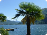 Luganersee