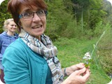 Blüten finden