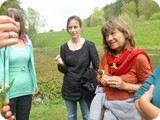 Bachblüten kennen lernen