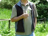 Bachlüten beschreiben