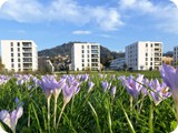 Gesundheitszentrum im Park